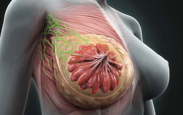 intraductal papilloma surgery in kolkata